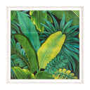 Tropical 1