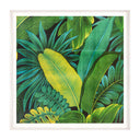 Tropical 2