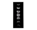 72" X 30" Charcoal Frame Nature Moon Phases by Matho Sun