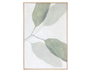 40" X 50" Natural Floater Frame Nature Calm Reflection (Set Of 2) by Matho Sun, view 3