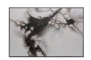 72" X 48" Black Floater Frame Screen Smoke by Matho Sun