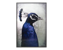 48" X 72" Charcoal Frame Nature The Peacock by Matho Sun