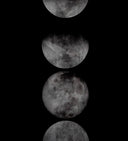 72" X 30" Charcoal Frame Nature Moon Phases by Matho Sun, view 5