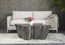 Antique Grey Coffee Table Lynx by Matho Sun, view 6