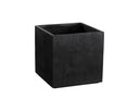 Black Planter Tansy by Matho Sun