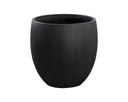 Large Round Planter Coleus by Matho Sun
