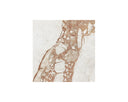 Crema Breccia Marble End Table Laros by Matho Sun, view 2
