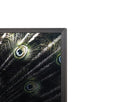72" X 48" Charcoal Frame Nature Brilliant Plumage by Matho Sun, view 2