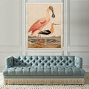 Warnicke Spoonbill