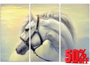 Stallion Canvas (Open Box)
