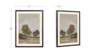 Ash Framed Print